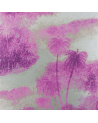 W6652-05-cocos