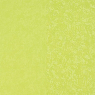 Tapete P576-14 KALPANA - LIME - Designers Guild
