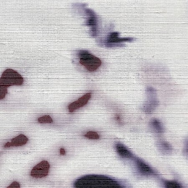 Papel Pintado VP-754-01 - Elitis