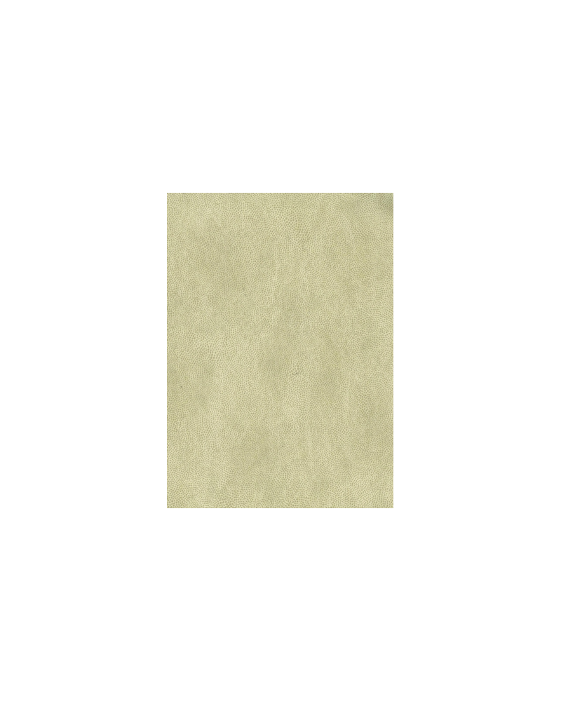Papel de parede Mako Vinyl W6331-02 - OSBORNE and LITTLE Papel de parede Mako Vinyl W6331-02 - OSBORNE and LITTLE