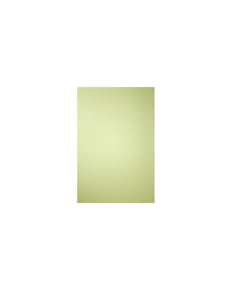 Papel Pintado W6491-05 ORIOLE - OSBORNE and LITTLE Papel Pintado W6491-05 ORIOLE - OSBORNE and LITTLE