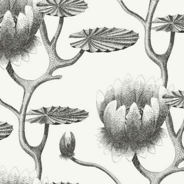 Papel de parede Lily 95-4020 - COLE and SON