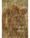 Tapete RC12069 - ROBERTO CAVALLI
