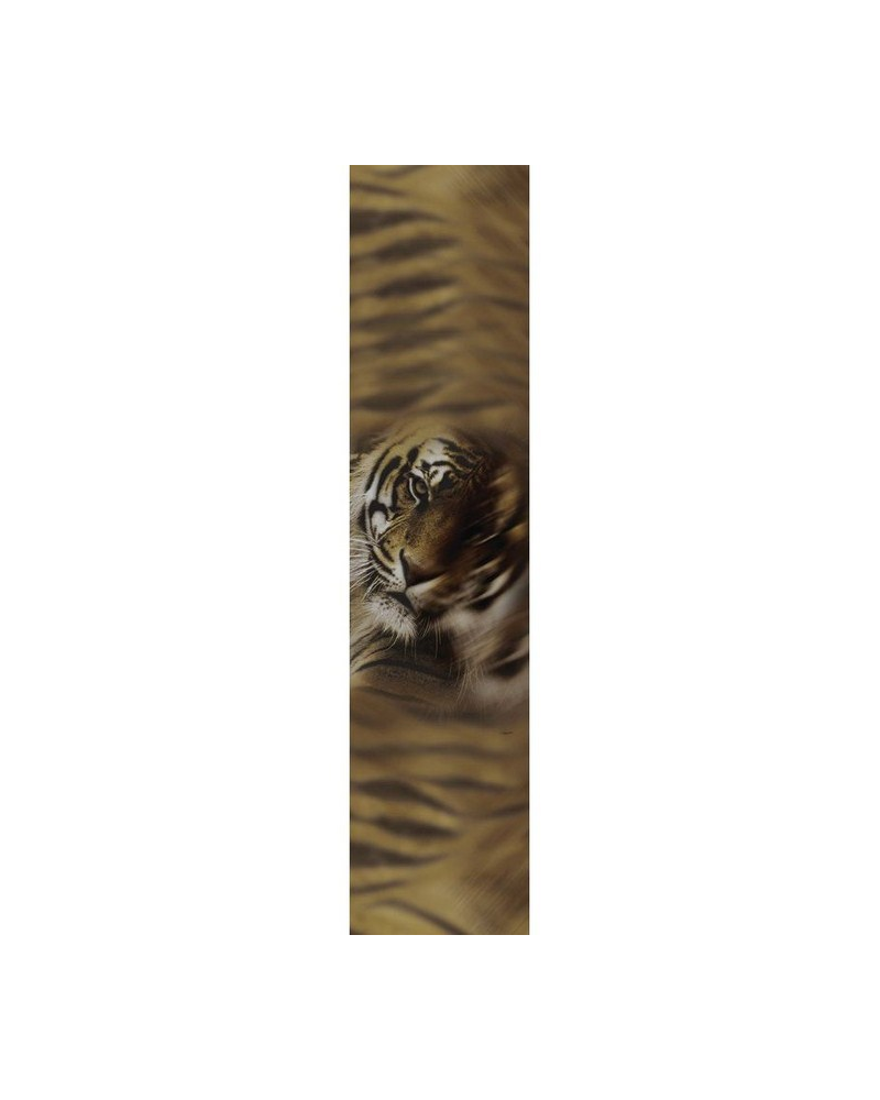 Wallpaper RC12082 - ROBERTO CAVALLI