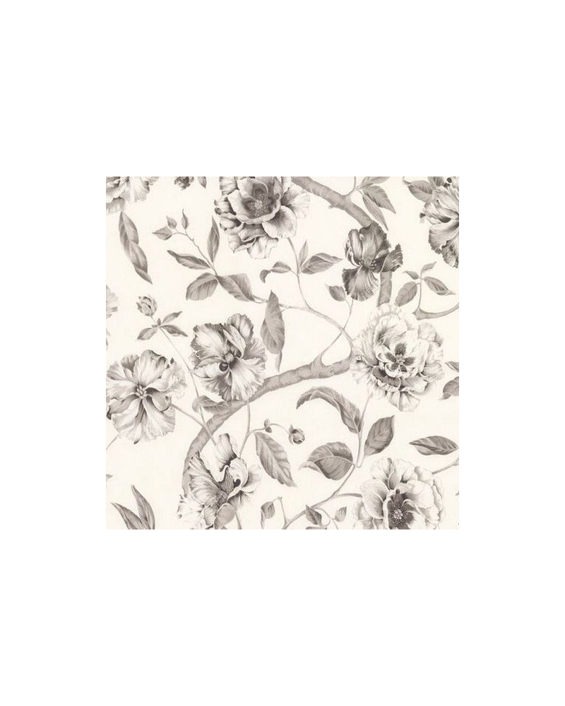 Papier peint adagio-gris - EQUIPO DRT Papier peint adagio-gris - EQUIPO DRT