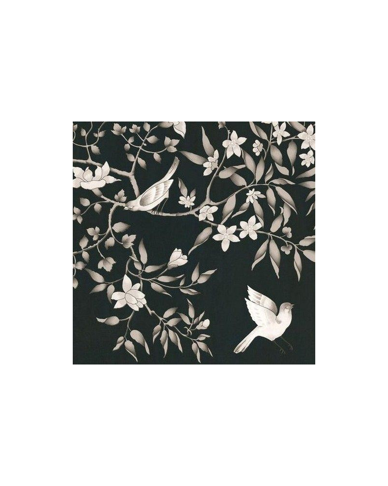 Papier peint vivace-negro - EQUIPO DRT Papier peint vivace-negro - EQUIPO DRT