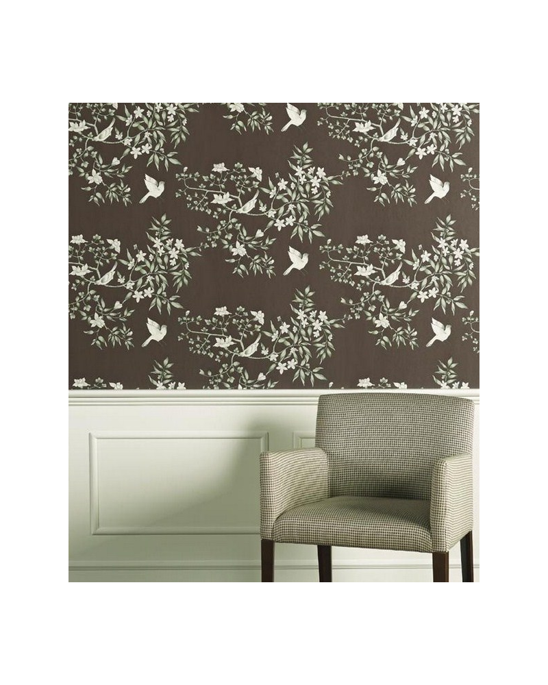 Tapete vivace-negro - EQUIPO DRT