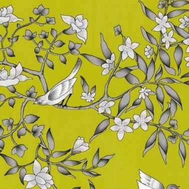 Papel Pintado vivace-pistacho - EQUIPO DRT