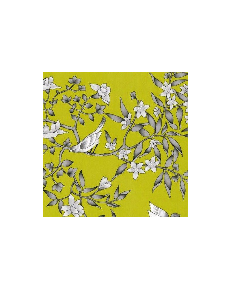 Papier peint vivace-pistacho - EQUIPO DRT Papier peint vivace-pistacho - EQUIPO DRT