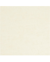 P626-02 MUSHROOM - CHAMPAGNE