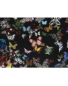FCL025-03 BUTTERFLY PARADE - DARK