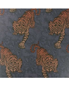 W6542-03_tiger tyger