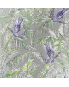 W6543-01_Sunbird