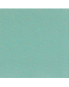 F6531-03-ocelot