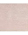 F6532-05_cheetah