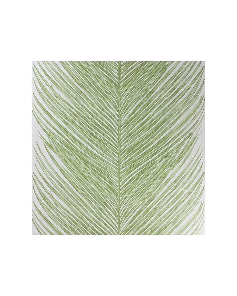 Tapete NCW4154-03_mey fern - NINA CAMPBELL