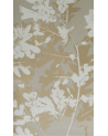 Papel de parede W5875-03 SHERWOOD - OSBORNE and LITTLE