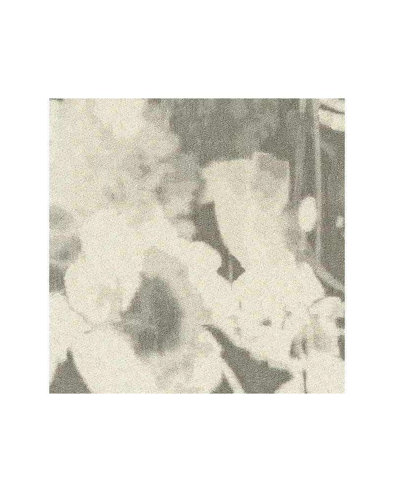 Papier peint CHIARIOSCURO 23003_1 - RUBELLI