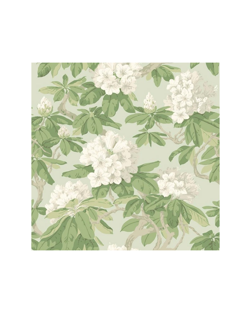 Tapete Bourlie 99-4022 - COLE and SON Tapete Bourlie 99-4022 - COLE and SON