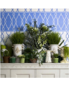 Papier peint Parterre Border 99-3012 - COLE and SON