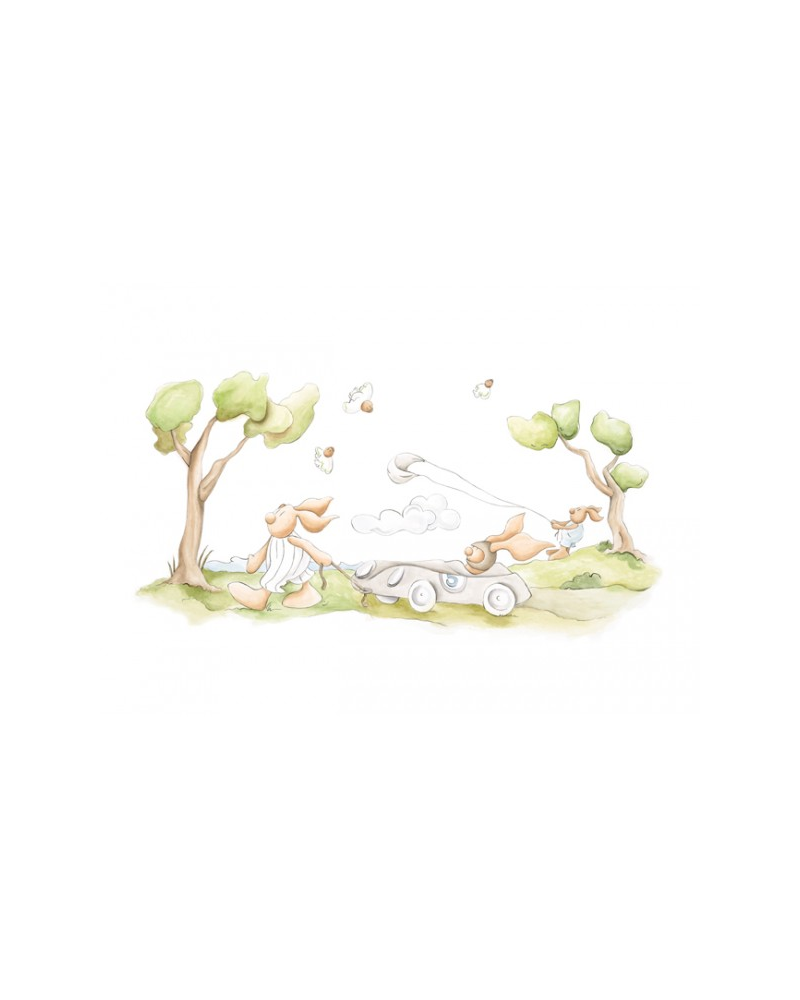 Papel de parede Mural Car & Kite 3400076 - COORDONNE