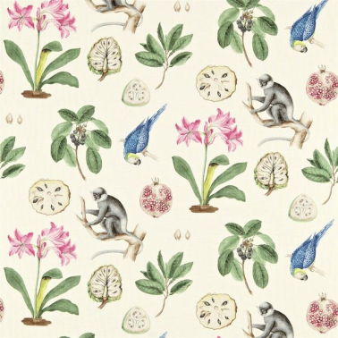 Fabric CAPUCHINS DVOY223273-chintz Sanderson