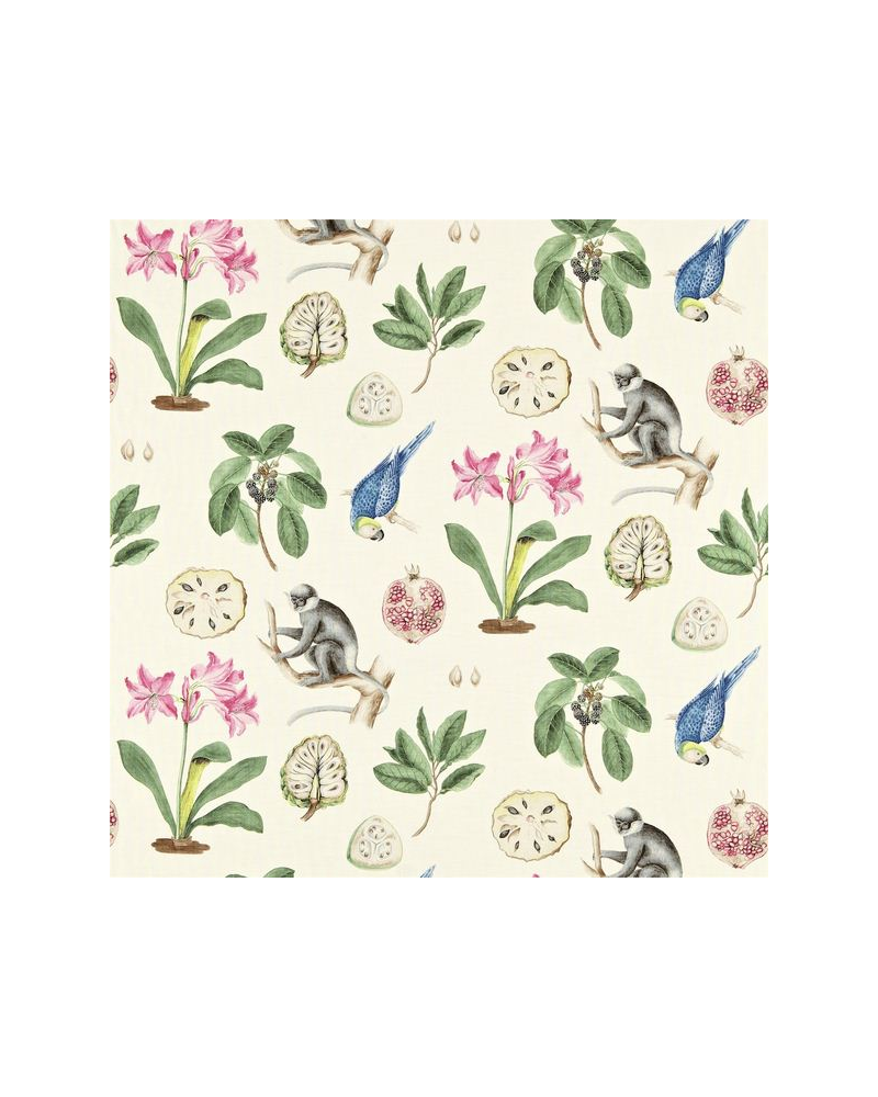 Tecido CAPUCHINS DVOY223273-chintz Sanderson