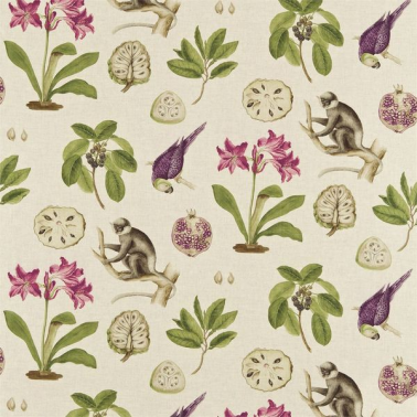 Fabric CAPUCHINS DVOY223274-boysenberry Sanderson