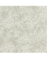 Papier peint PDG640/03 BOTTICINO PEWTER - Designers Guild