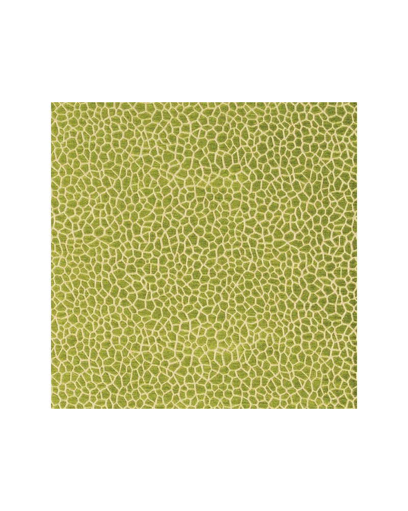 Tela F6632-01-kairi MATTHEW WILLIAMSON Tela F6632-01-kairi MATTHEW WILLIAMSON