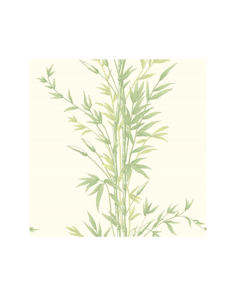 Wallpaper Bamboo 100-5023 - COLE and SON Wallpaper Bamboo 100-5023 - COLE and SON