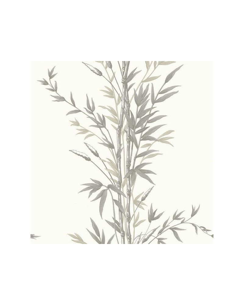 Papel de parede Bamboo 100-5025 - COLE and SON Papel de parede Bamboo 100-5025 - COLE and SON