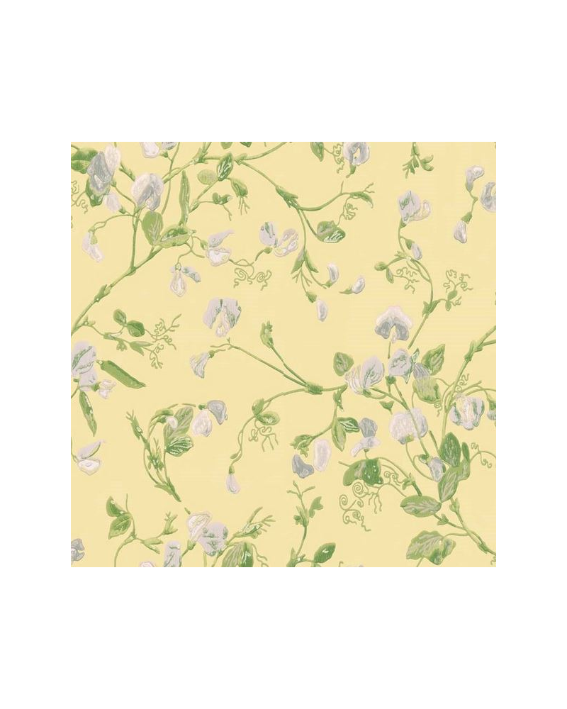 Wallpaper Sweet Pea 100-6029 - COLE and SON Wallpaper Sweet Pea 100-6029 - COLE and SON