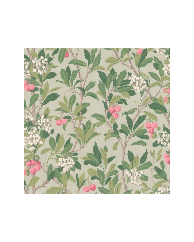 Carta da Parati Strawberry Tree 100-10048 - COLE and SON Carta da Parati Strawberry Tree 100-10048 - COLE and SON