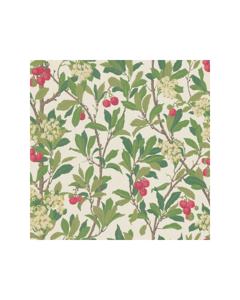 Papel de parede Strawberry Tree 100-10049 - COLE and SON Papel de parede Strawberry Tree 100-10049 - COLE and SON