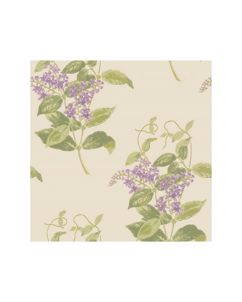 Papel de parede Madras Violet 100-12056 - COLE and SON Papel de parede Madras Violet 100-12056 - COLE and SON