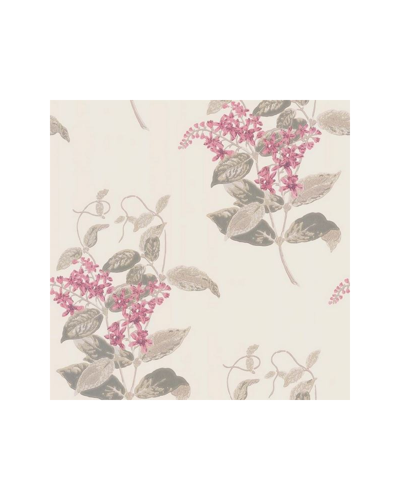 Tapete Madras Violet 100-12058 - COLE and SON Tapete Madras Violet 100-12058 - COLE and SON