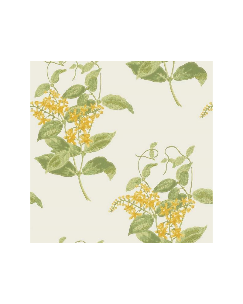 Papier peint Madras Violet 100-12059 - COLE and SON Papier peint Madras Violet 100-12059 - COLE and SON