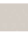 Carta da Parati Large Georgian Rope Trellis 100-13061 - COLE and SON