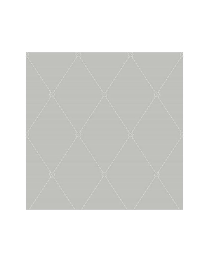 Carta da Parati Large Georgian Rope Trellis 100-13062 - COLE and SON