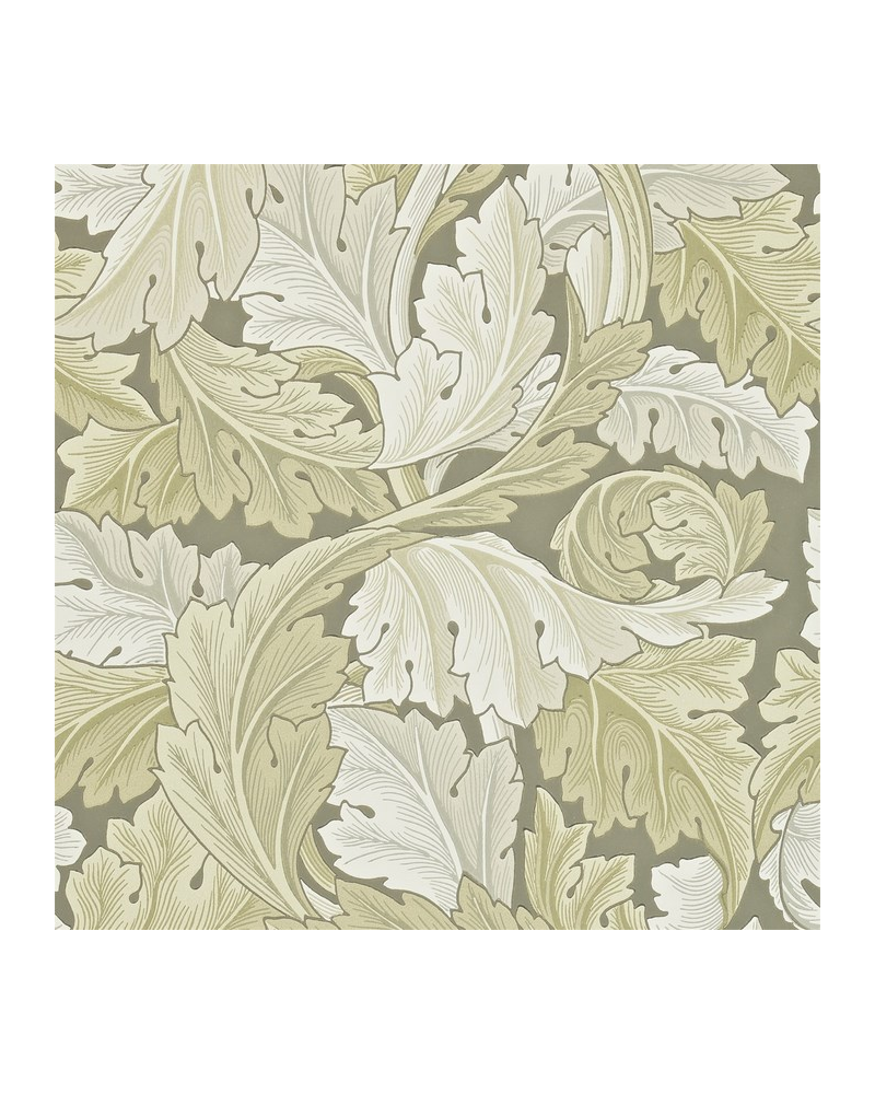 Papel Pintado ACANTHUS DARW212552 - MORRIS CO Papel Pintado ACANTHUS DARW212552 - MORRIS CO