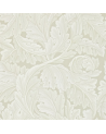 ACANTHUS DARW212554