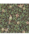 DARW212537 BIRD e POMEGRANIA