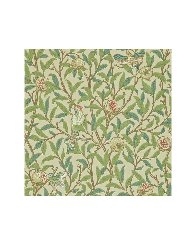 Papel Pintado BIRD Y POMEGRANATE DARW212539 - MORRIS CO Papel Pintado BIRD Y POMEGRANATE DARW212539 - MORRIS CO