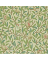 Papel de parede BIRD Y POMEGRANATE DARW212539 - MORRIS CO