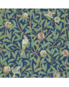 DARW212540 de BIRD e POMEGRANIA