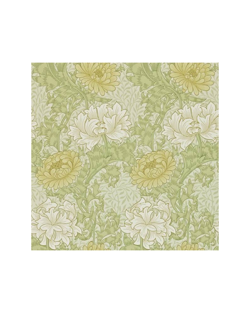 Papel Pintado CHRYSANTHEMUM DARW212545 - MORRIS CO Papel Pintado CHRYSANTHEMUM DARW212545 - MORRIS CO