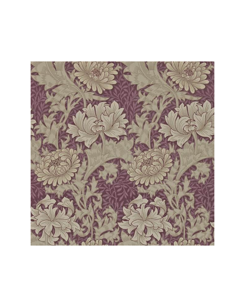 Papel Pintado CHRYSANTHEMUM DARW212548 - MORRIS CO