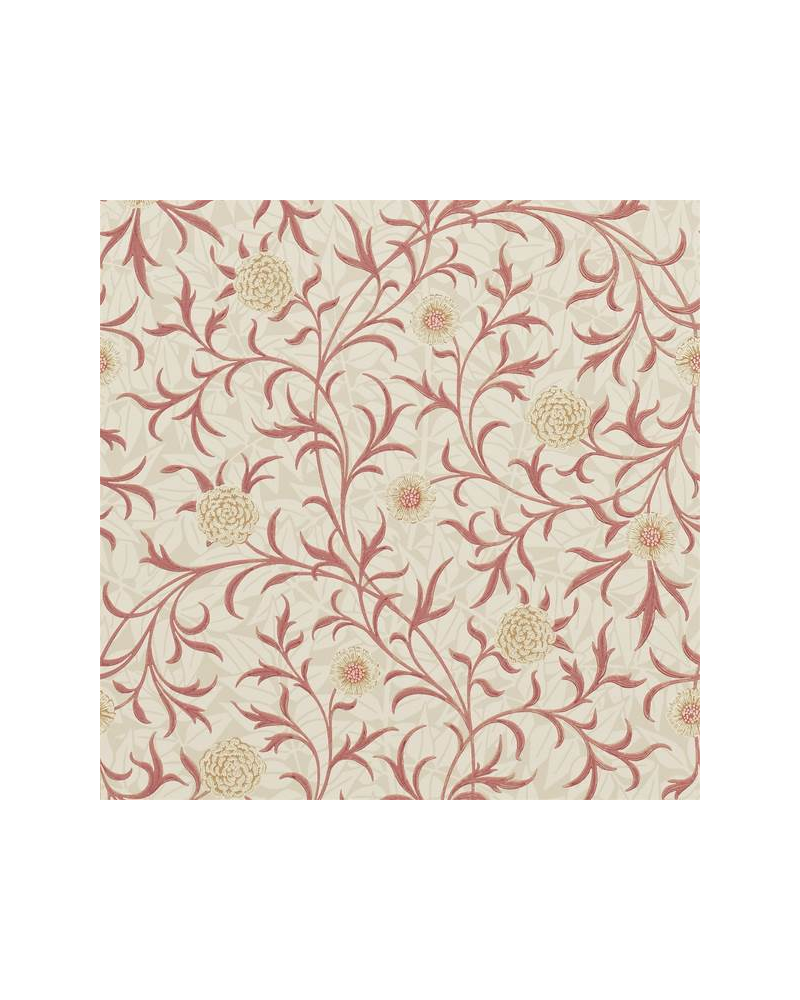 Papier peint SCROLL DM6P210364 - MORRIS CO Papier peint SCROLL DM6P210364 - MORRIS CO
