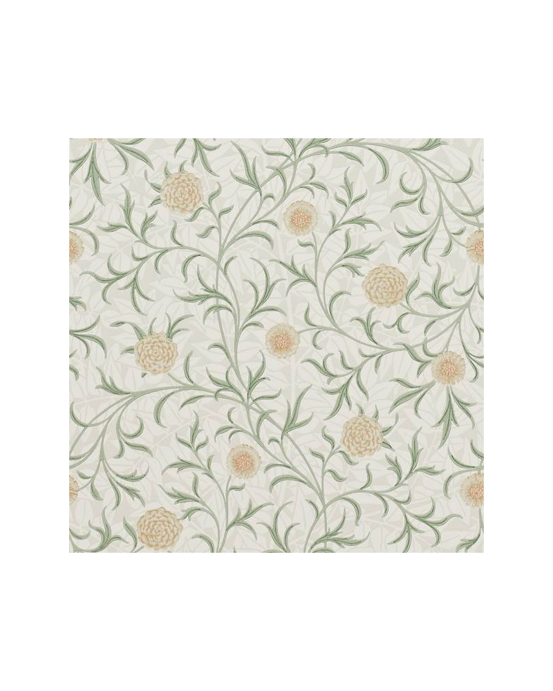 Papier peint SCROLL DM6P210365 - MORRIS CO Papier peint SCROLL DM6P210365 - MORRIS CO